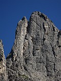 IMG_5818