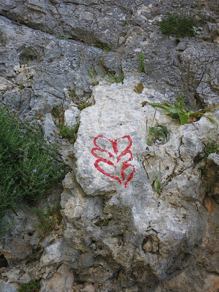 IMG_0407.JPG - L'attacco. Si trova facilmente seguendo gli ometti e le tracce di passaggio                                