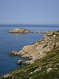 IMG_0403