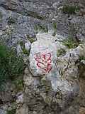 IMG_0407