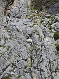 IMG_0414