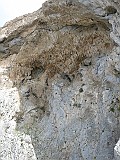 IMG_0415