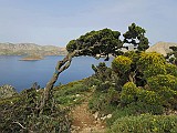 IMG_0448