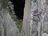 IMG_5533