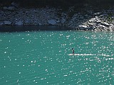 IMG_5537