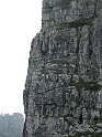 IMG_9011