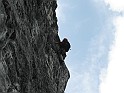IMG_9017