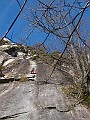 IMG_4763
