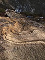 IMG_4779