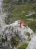 IMG_5967