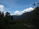 IMG_2478