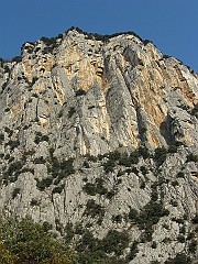 IMG_1881