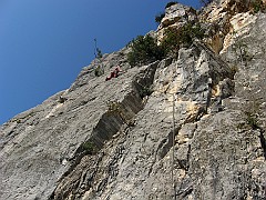 IMG_1884