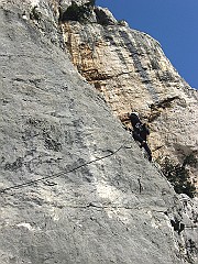 IMG_1894