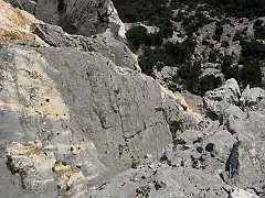 IMG_1895