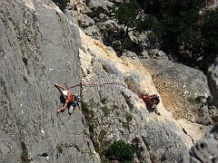 IMG_1896