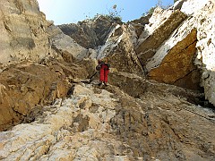 IMG_1899