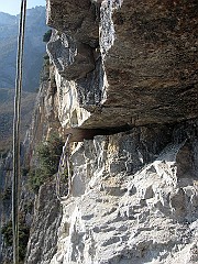 IMG_1903