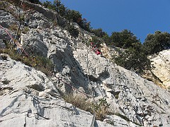 IMG_1904