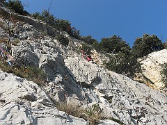 IMG_1905