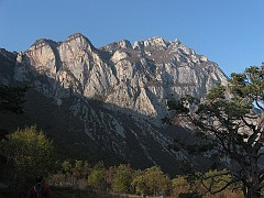 IMG_1909