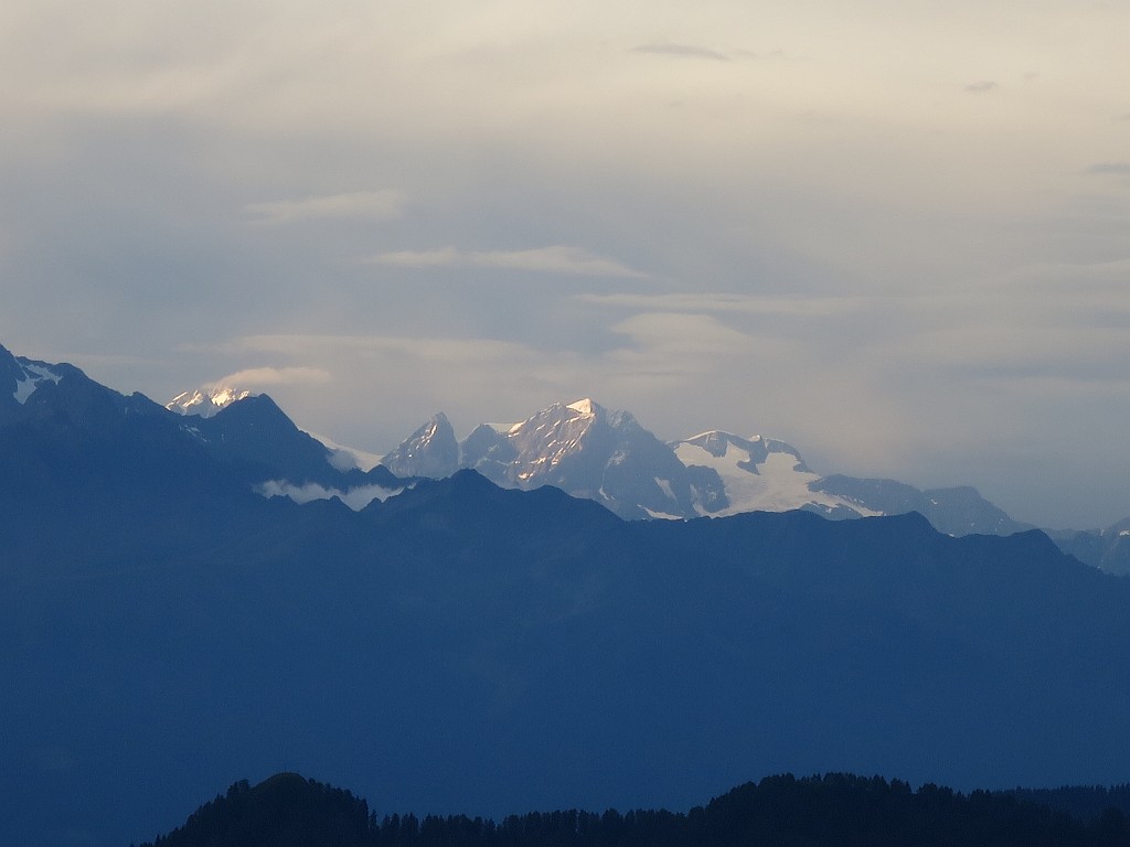 IMG_8838.JPG