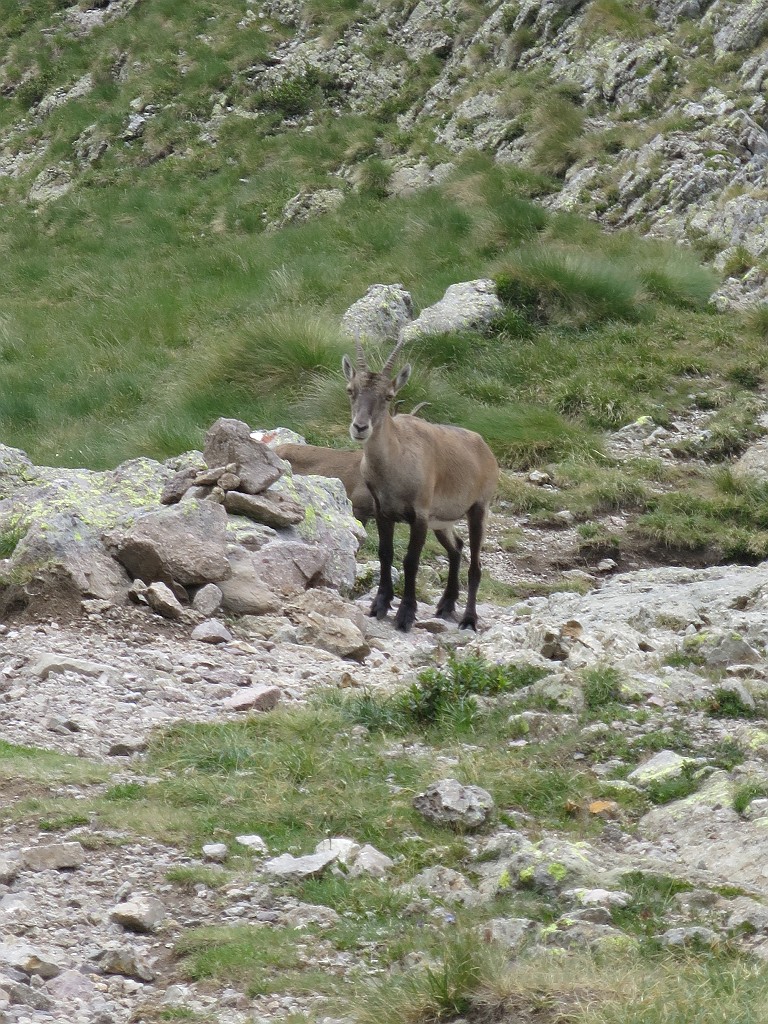 IMG_8904.JPG