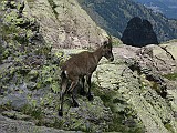 IMG_8873