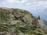 IMG_8878