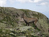 IMG_8880