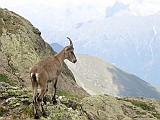 IMG_8882
