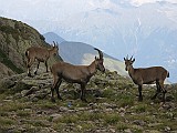 IMG_8889