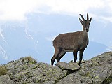 IMG_8897