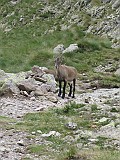 IMG_8904
