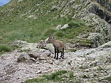 IMG_8905