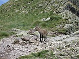 IMG_8906