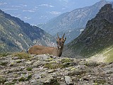 IMG_8911