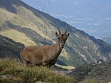 IMG_8921