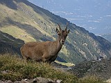 IMG_8922