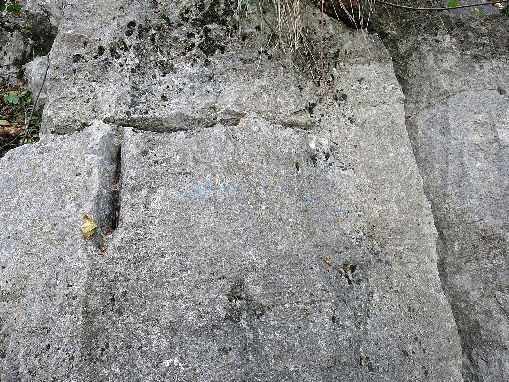 IMG_9662.JPG - La scritta Anniversario è ormai illeggebile ma l'attacco è ben riconoscibile. La via è sempre consigliabile, difficoltà max 6+ abbastanza ben protetta e non molto unta. Per la relazione fare riferimento qui http://www.sassbaloss.com/pagine/uscite/medale3/medale3.htm