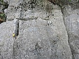 IMG_9662