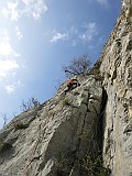 IMG_9667