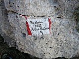 IMG_8076