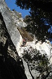 DSC00643