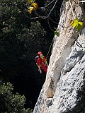 IMG_2003