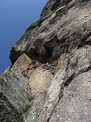 IMG_2453