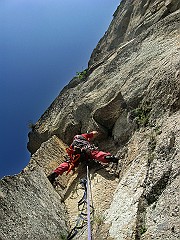 IMG_2455