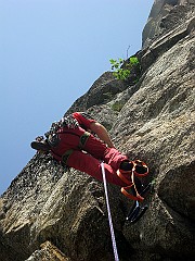 IMG_2457