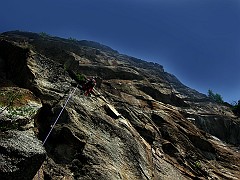 IMG_2459