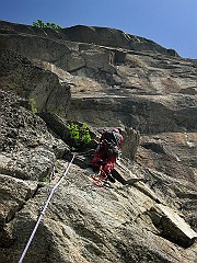 IMG_2460